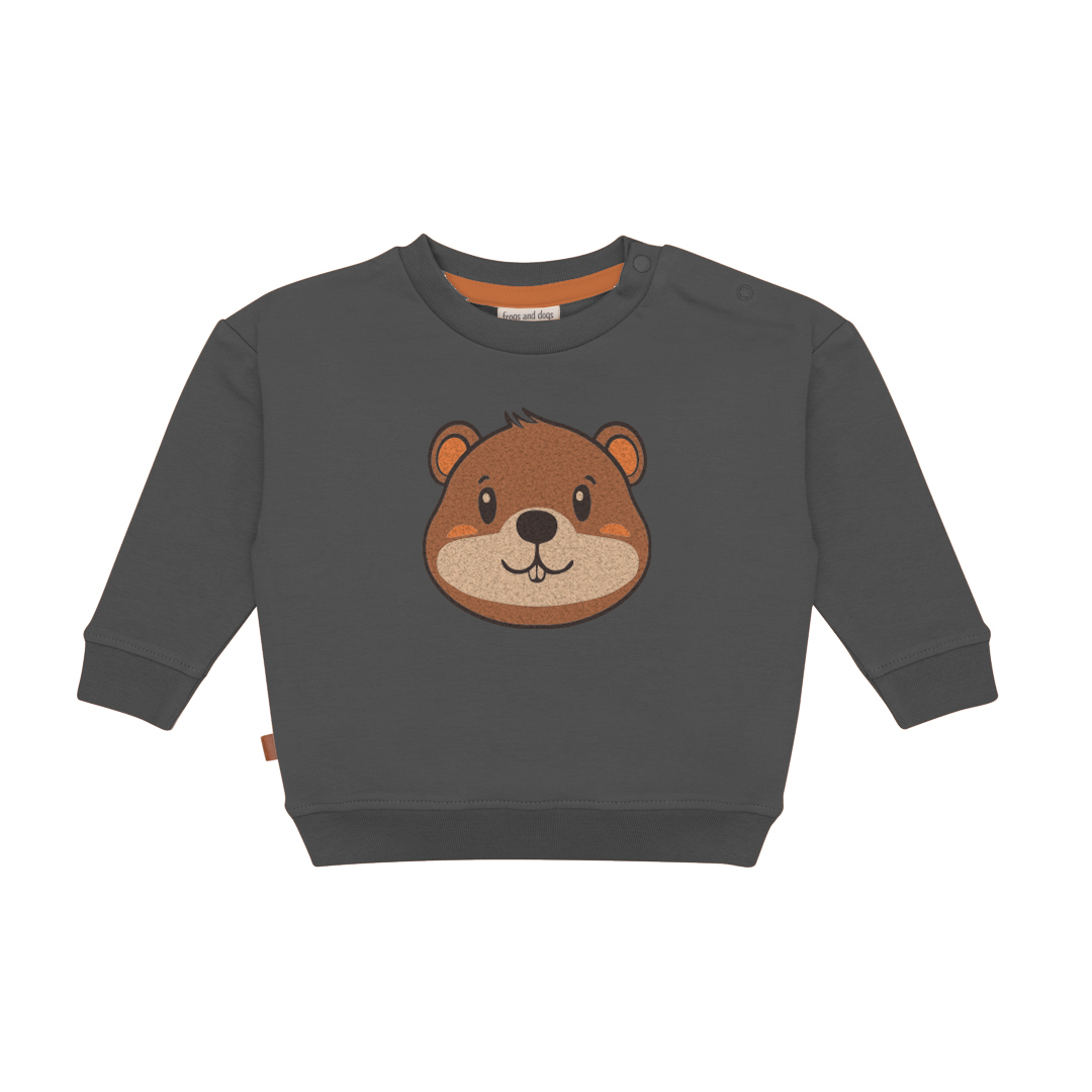 Frogs and dogs sweater beaver - Afbeelding 2