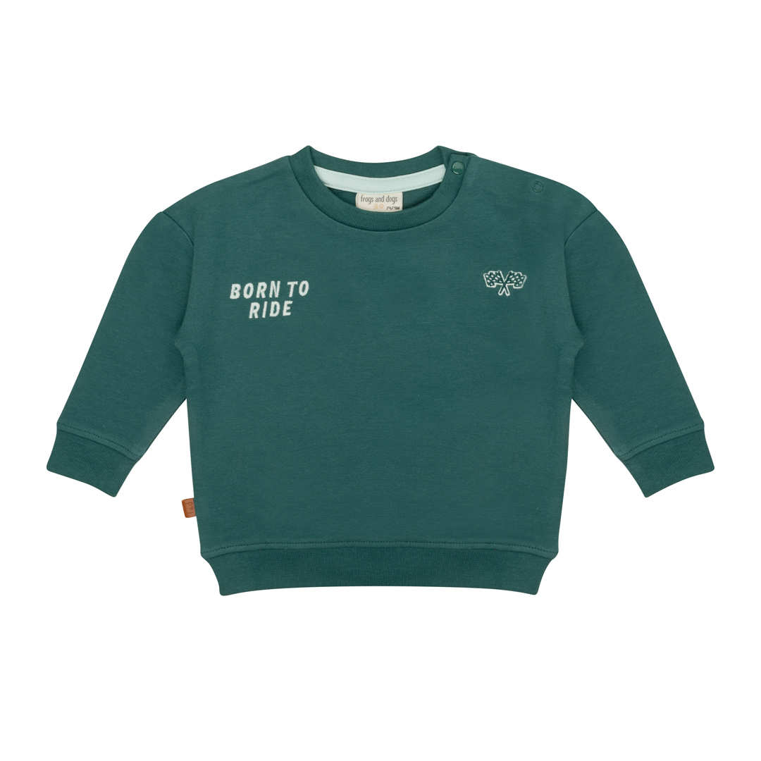 Frogs and dogs sweater green