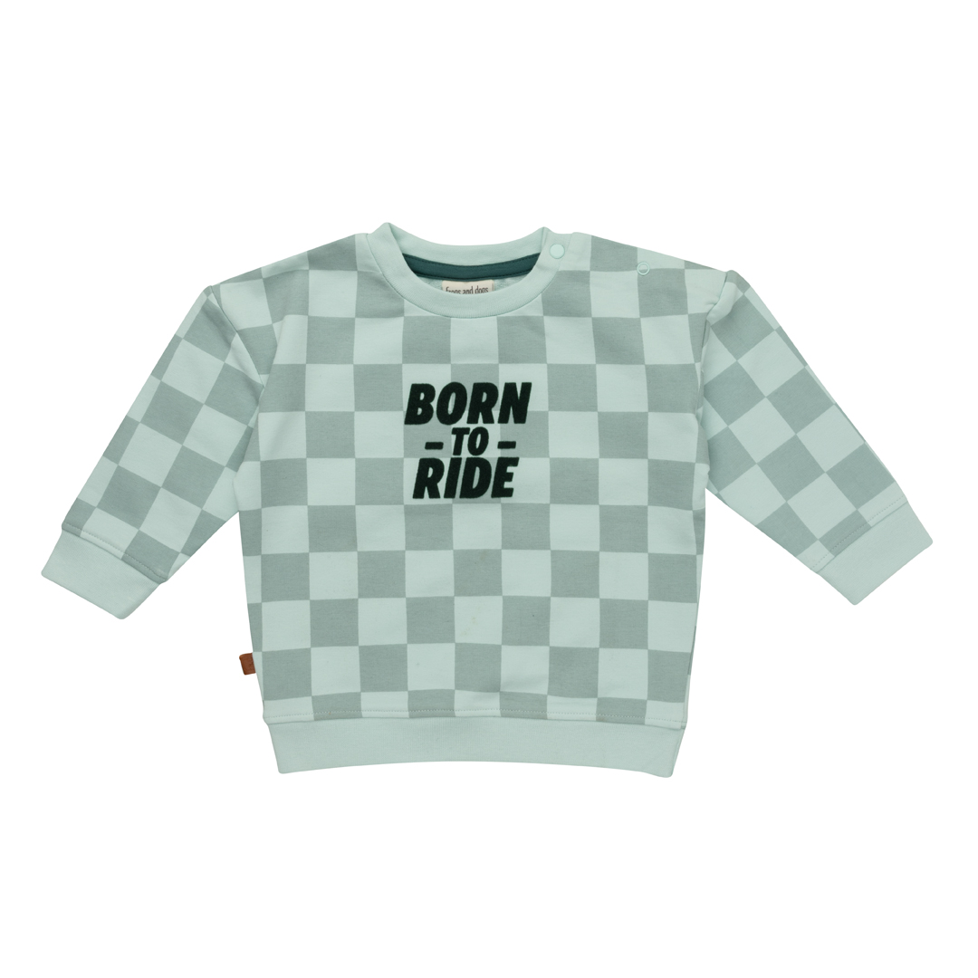 Frogs and dogs sweater geblokt mint - Afbeelding 2