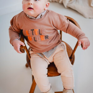 Frogs and dogs sweater little bulder